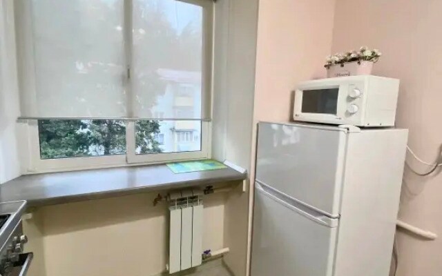 Квартира в центре Хосты