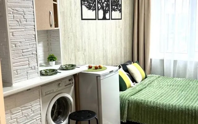 Квартира Студия 100 метров от метро