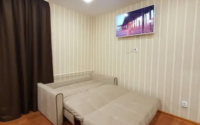 Апартаменты Кирова 60 5