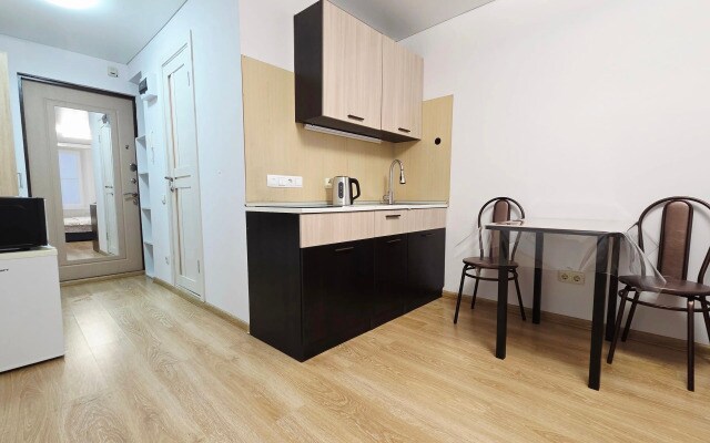 Квартира комфортная от сети RoomOnDay