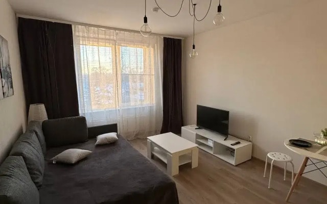 Квартира Уютная студия в сердце Пскова