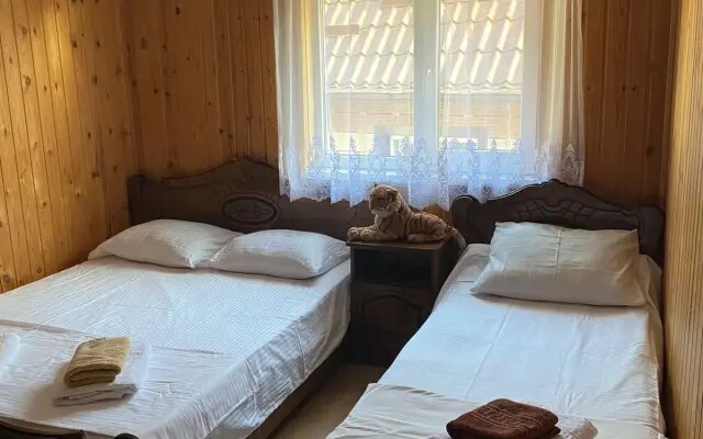 Меблированные комнаты ДиКи