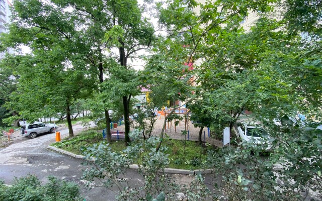 Квартира Бестужева 24а