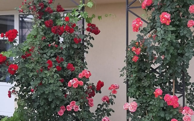 Guest House on Aivazovskogo 38