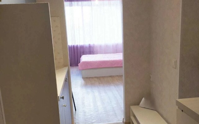 Квартира В Центре Города На Ул. Татарстан 51