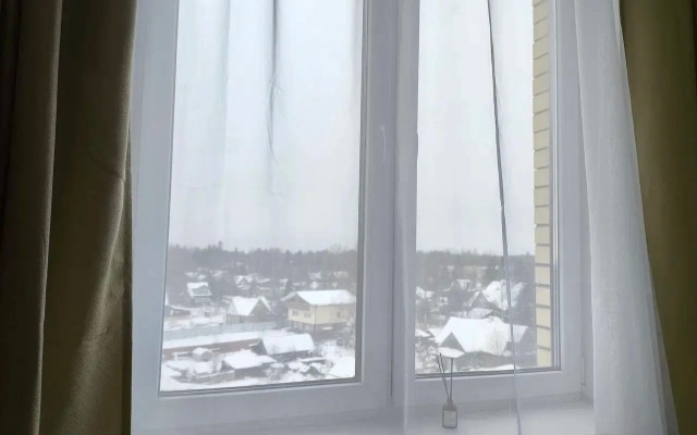 Квартира у онкоцентра в Песочном