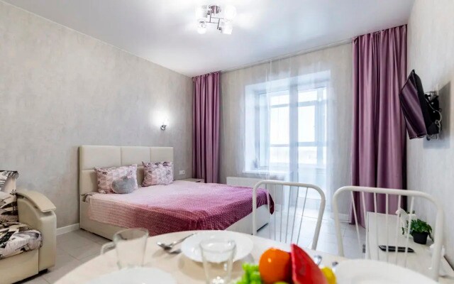 Апартаменты Prince Apartments на Улице Профинтерна 28А (131)