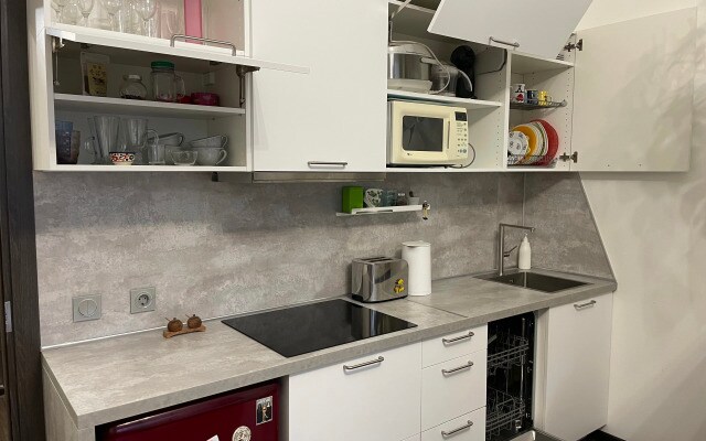 Апартаменты New studio near Neva