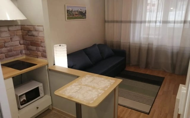 Апартаменты Comfortable Studio Vladimir
