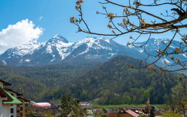 Апартаменты Red Apartments Листопадная Альпина
