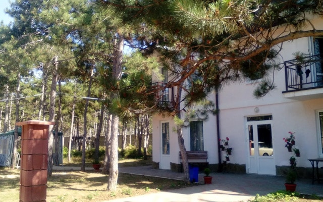 Aleksiya Guest House