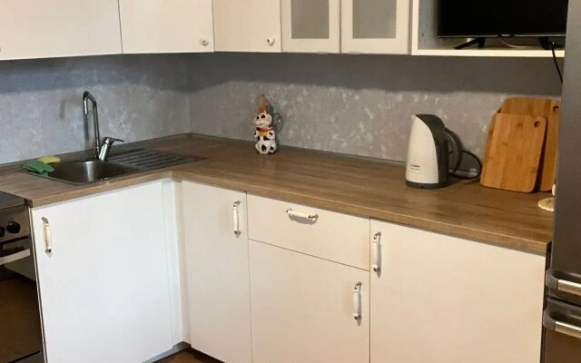 Квартира уютная однокомнатная в городе Московский Dayker City Apartments