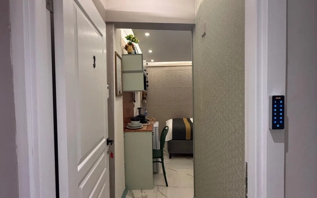 Апартаменты Compact and clean studio near Taksim metro station