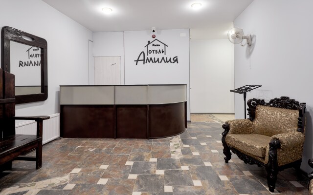 Мини-отель Амилия