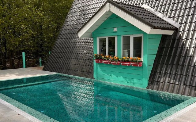 Частный дом A-frame DubHouse