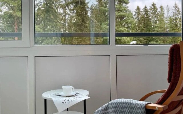 Квартира Hygge Karelia в Городе Солнца
