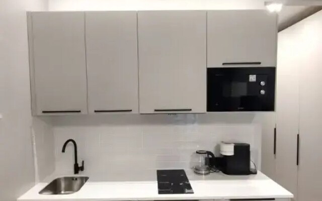 Апартаменты Vasilievsky Loft Studio 1