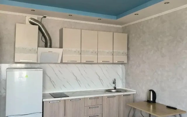 Квартира Студия курыжова 32