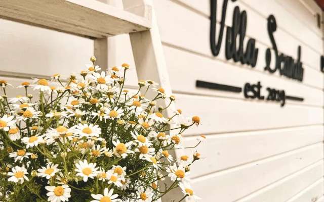 Гостевой дом Villa Scandi