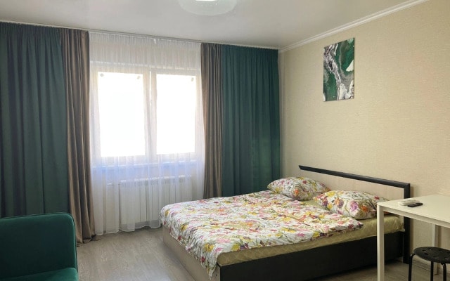 Квартира Курыжова 30