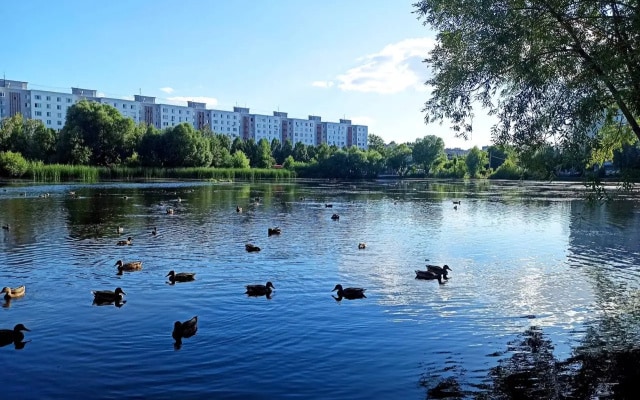 Квартира у озера