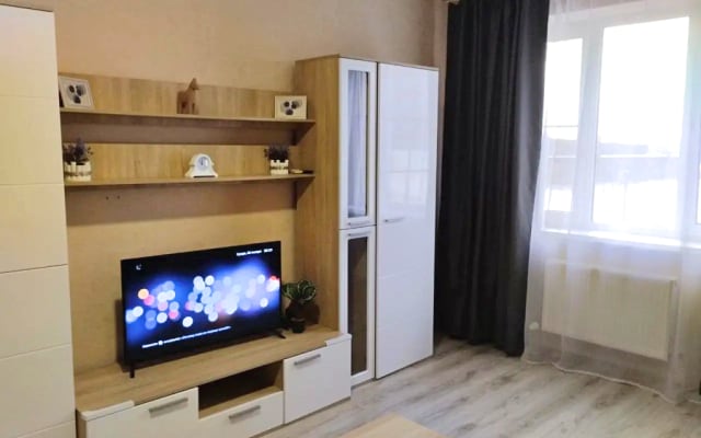 Квартира с Видом на Стадион
