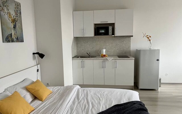Квартира на Торфяной 15к3