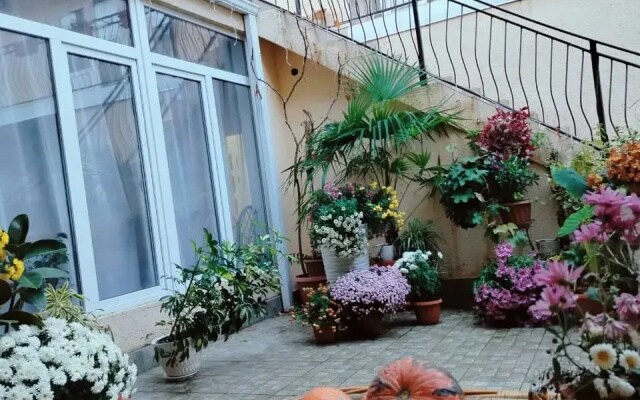 Меблированные комнаты У Ларисы В Вардане