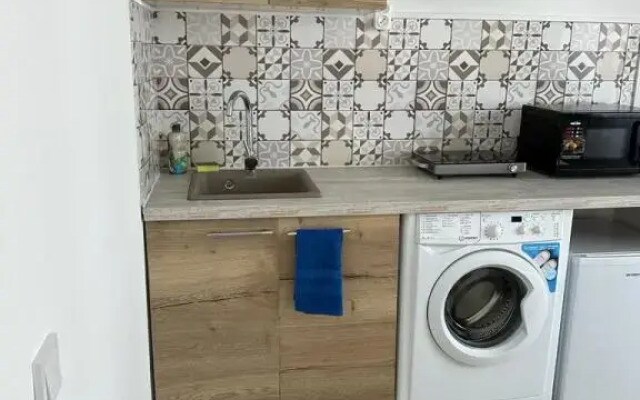 Апартаменты 2 Pant Family House в Остафьево