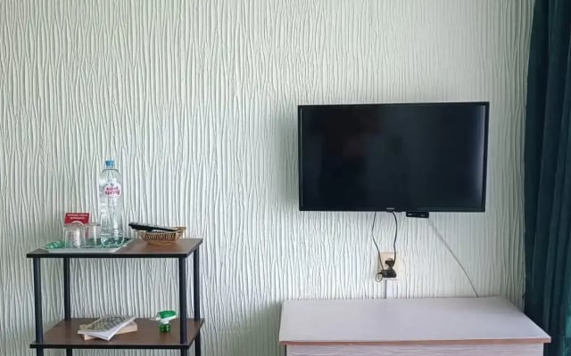 Апартаменты Семейные Viktoria