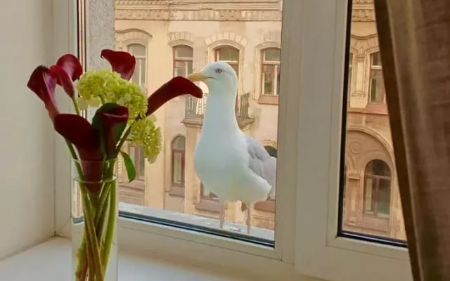 Гостевой Дом Best Corner