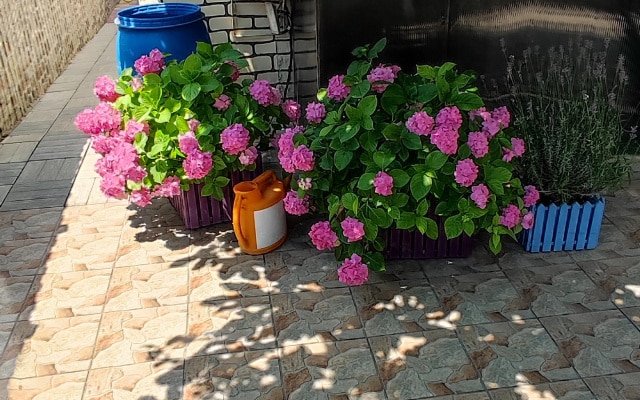 Отель Брюссельский дворик