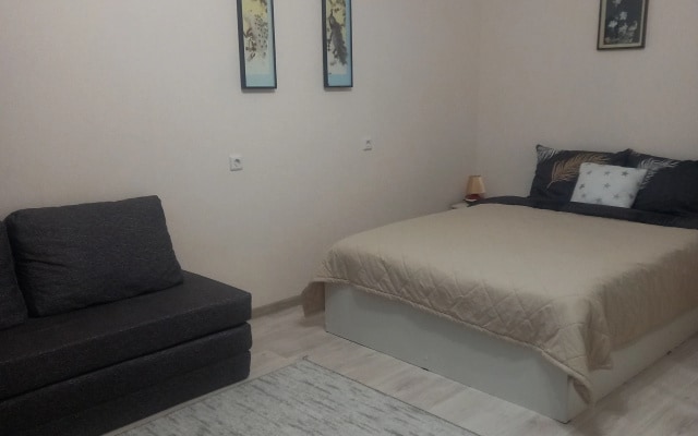Квартира 1К Аэропорт