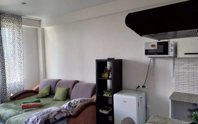 Квартира Рента 65 на Ленина 563к4