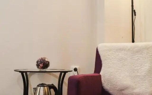 Меблированные комнаты Piter Home