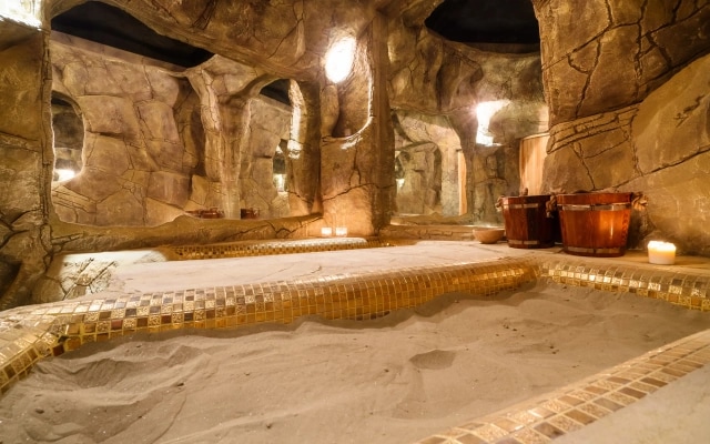 Отель Grand Wellness Hotel & Spa 5*