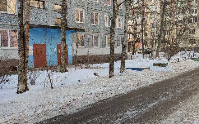 Квартира у Ледового Дворца