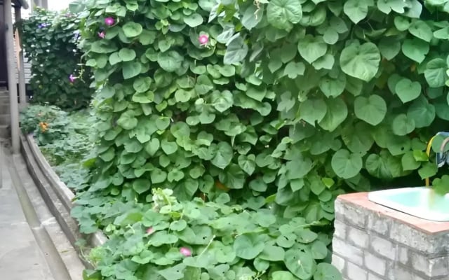 Меблированные комнаты Уютный Дом