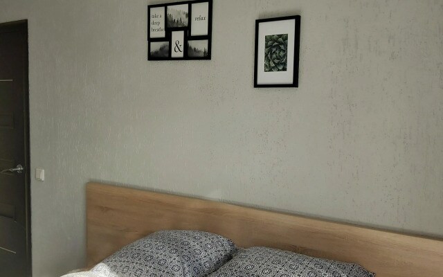 #1 Na Vladimirskoy Apartments