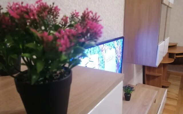 Квартира Чехова 2Б