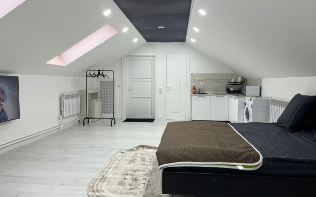 Апартаменты Ayshe Prestij Mansard