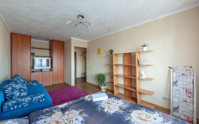Apartment ALLiS-HALL on Chelyuskintsev 23