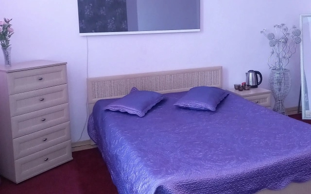 Apartment on Svetlanskaya 7