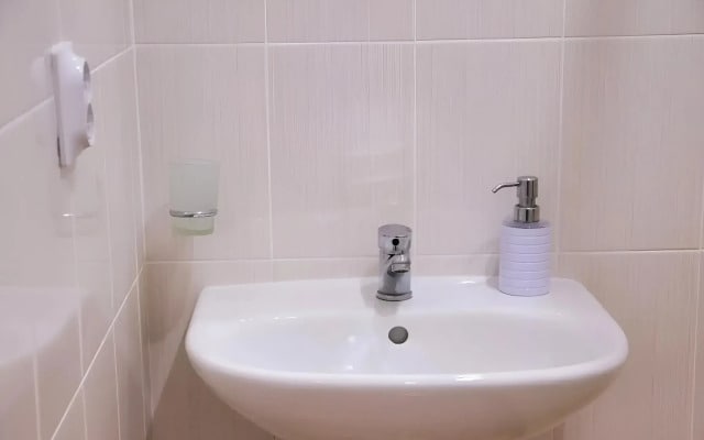 Апартаменты SutkiDar_Luzana (2)