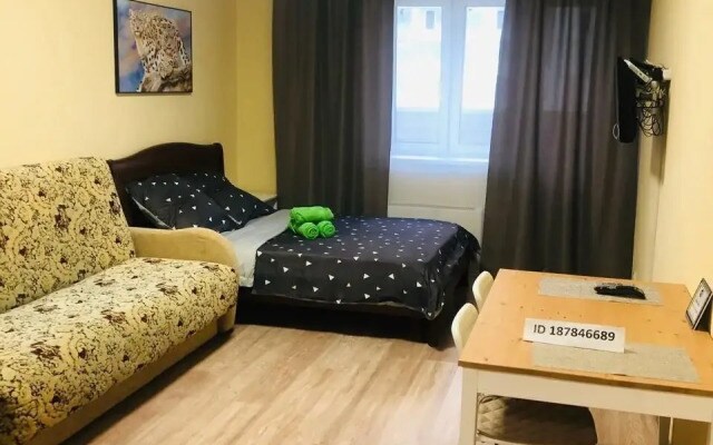 Квартира Уютная ул. Просвещения 8к1