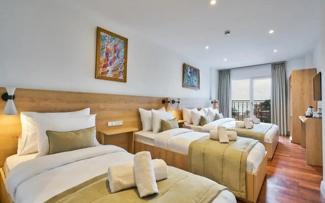 Отель Joyway Hotels Istanbul Sultanahmet