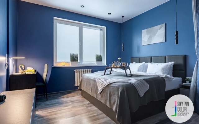 Апартаменты SKY INN Color Blue