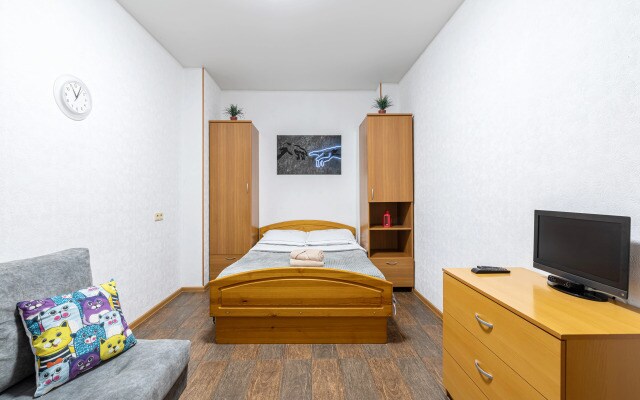Bolshaya Krasnaya Apartments