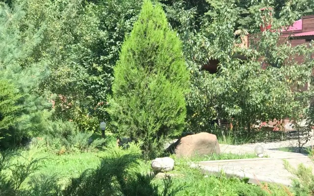 Частный дом с видом на санаторий