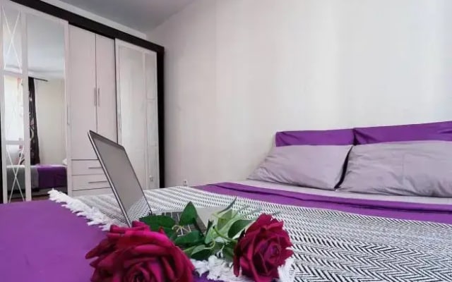 Апартаменты Park Inn Hause